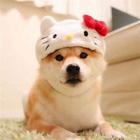 快速